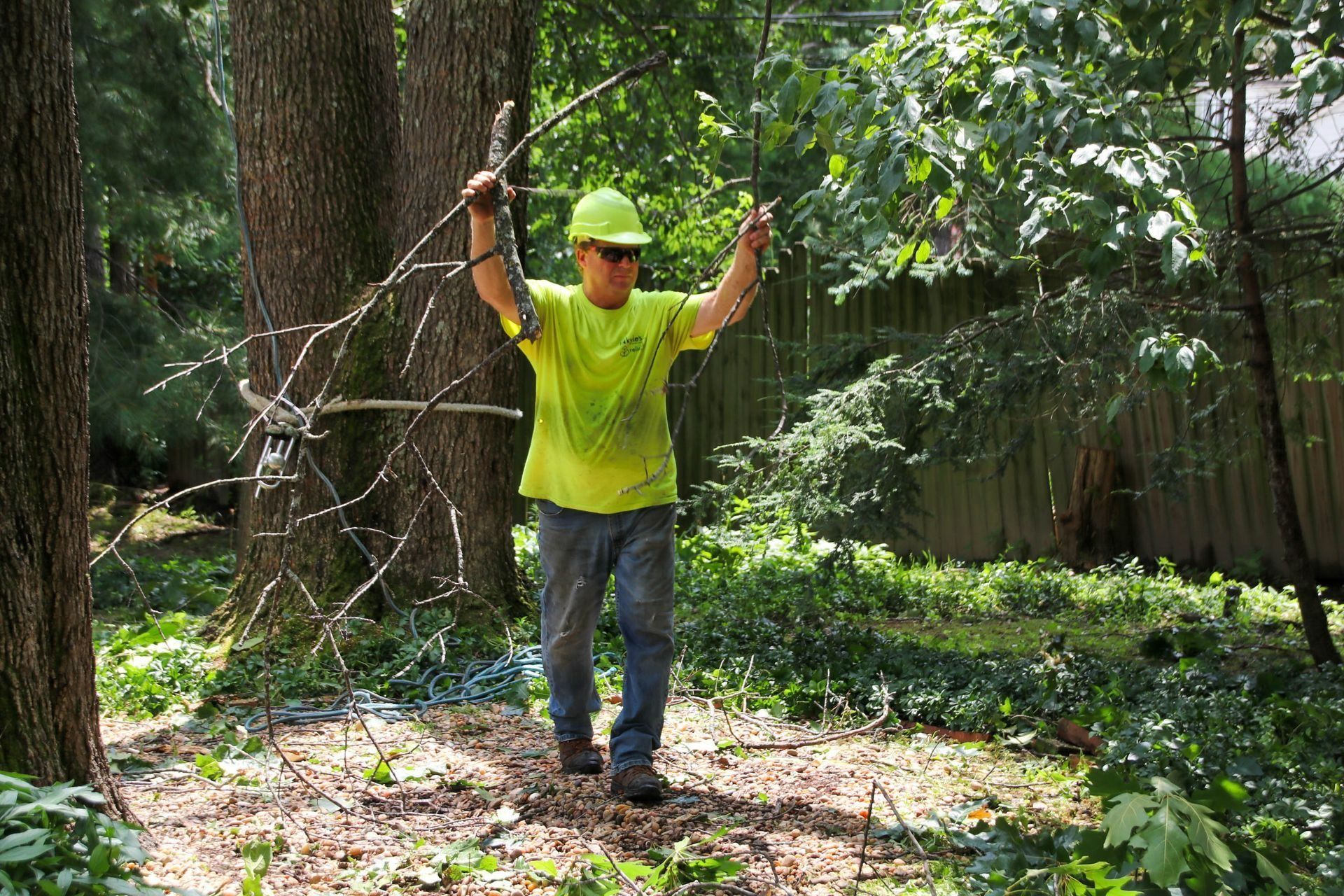 Man in green shirt and hardhat holding branches in a wooded area.