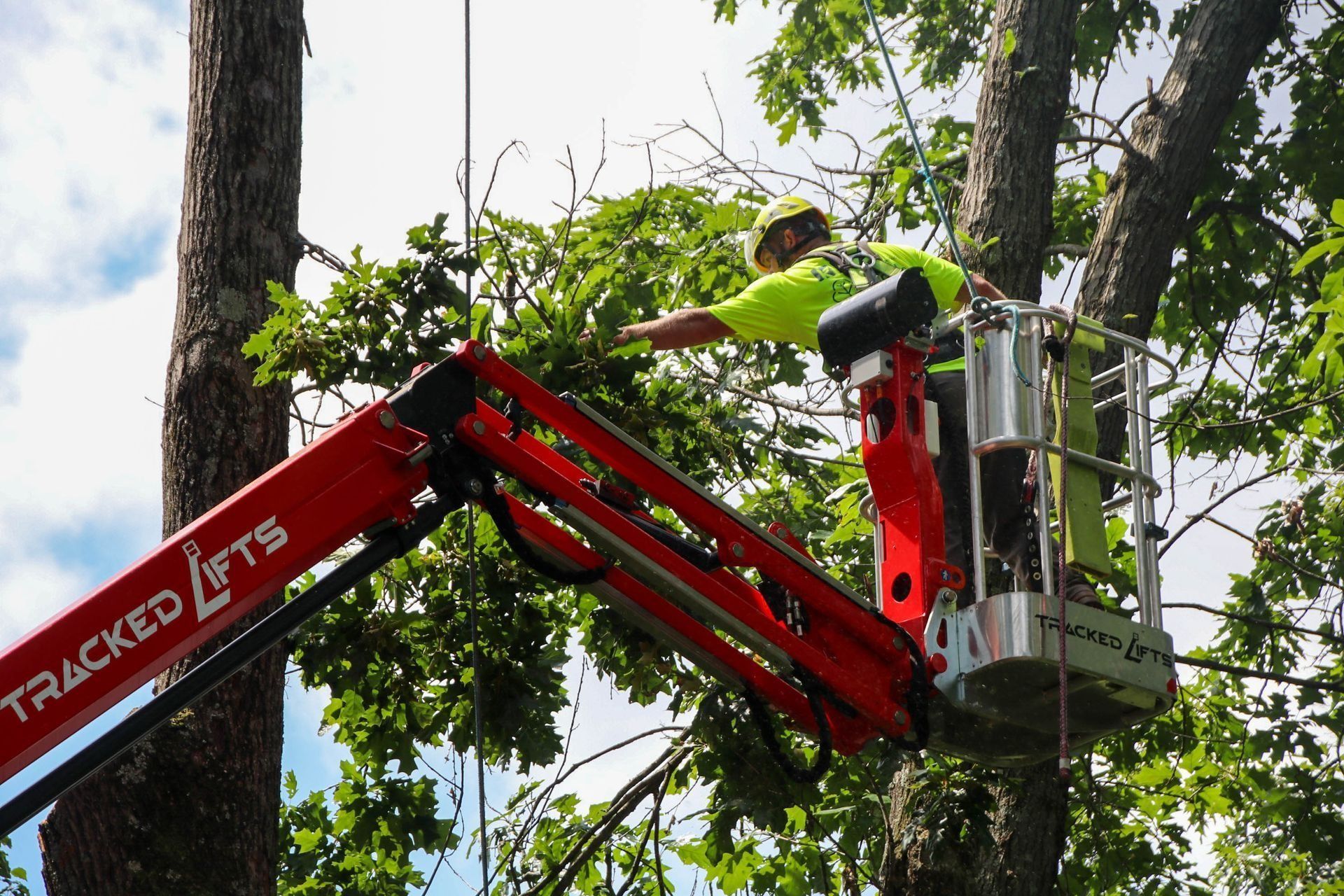 Arborist in a red aerial lift trimming tree branches; worker in safety vest and helmet.