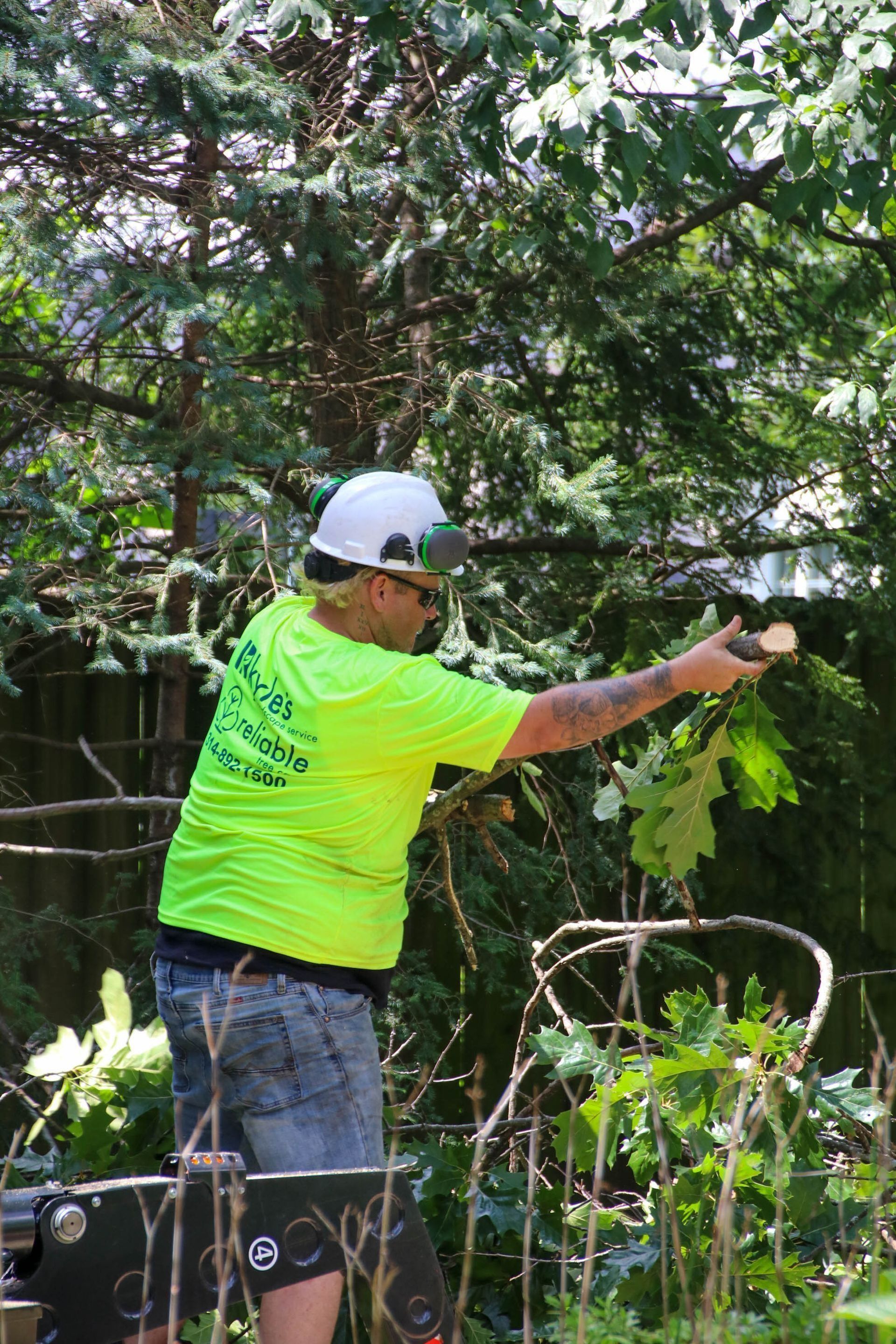 Person in a neon shirt and hard hat pruning branches outdoors.