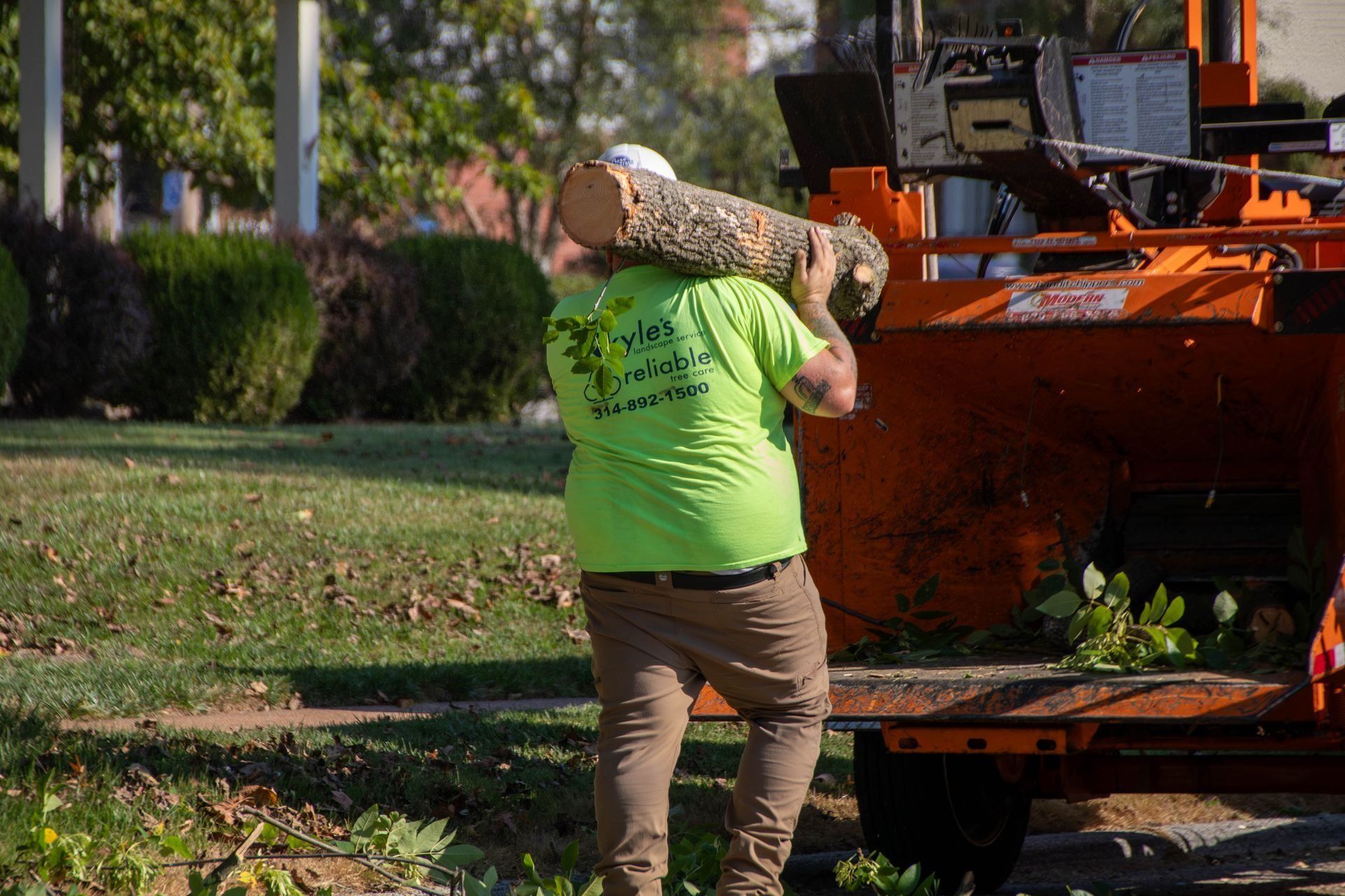 Man in green shirt carries log towards orange wood chipper on a sunny day.