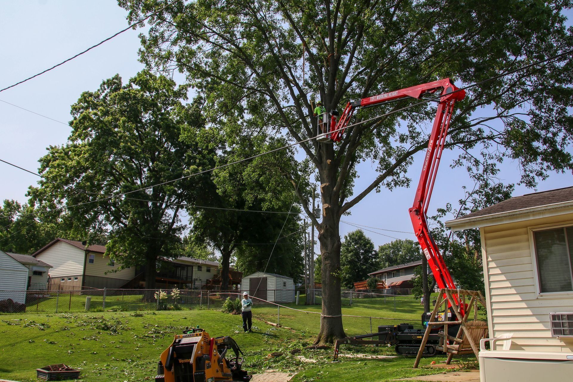 Tree trimming in progress: Red lift truck reaching tall tree near houses, power lines visible.