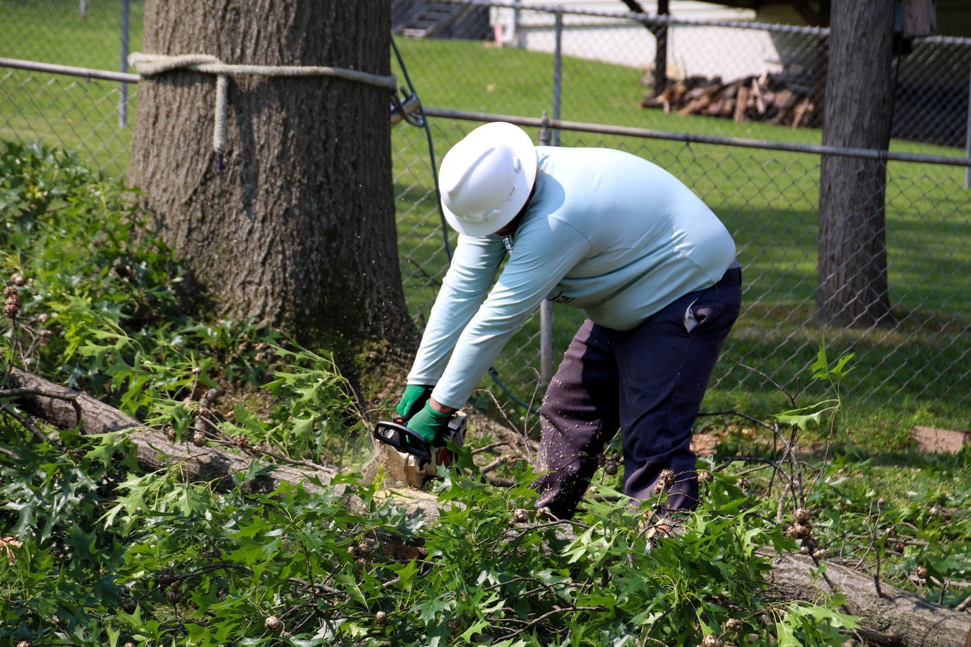 Person in hard hat cutting a fallen tree with a chainsaw, near a fence.