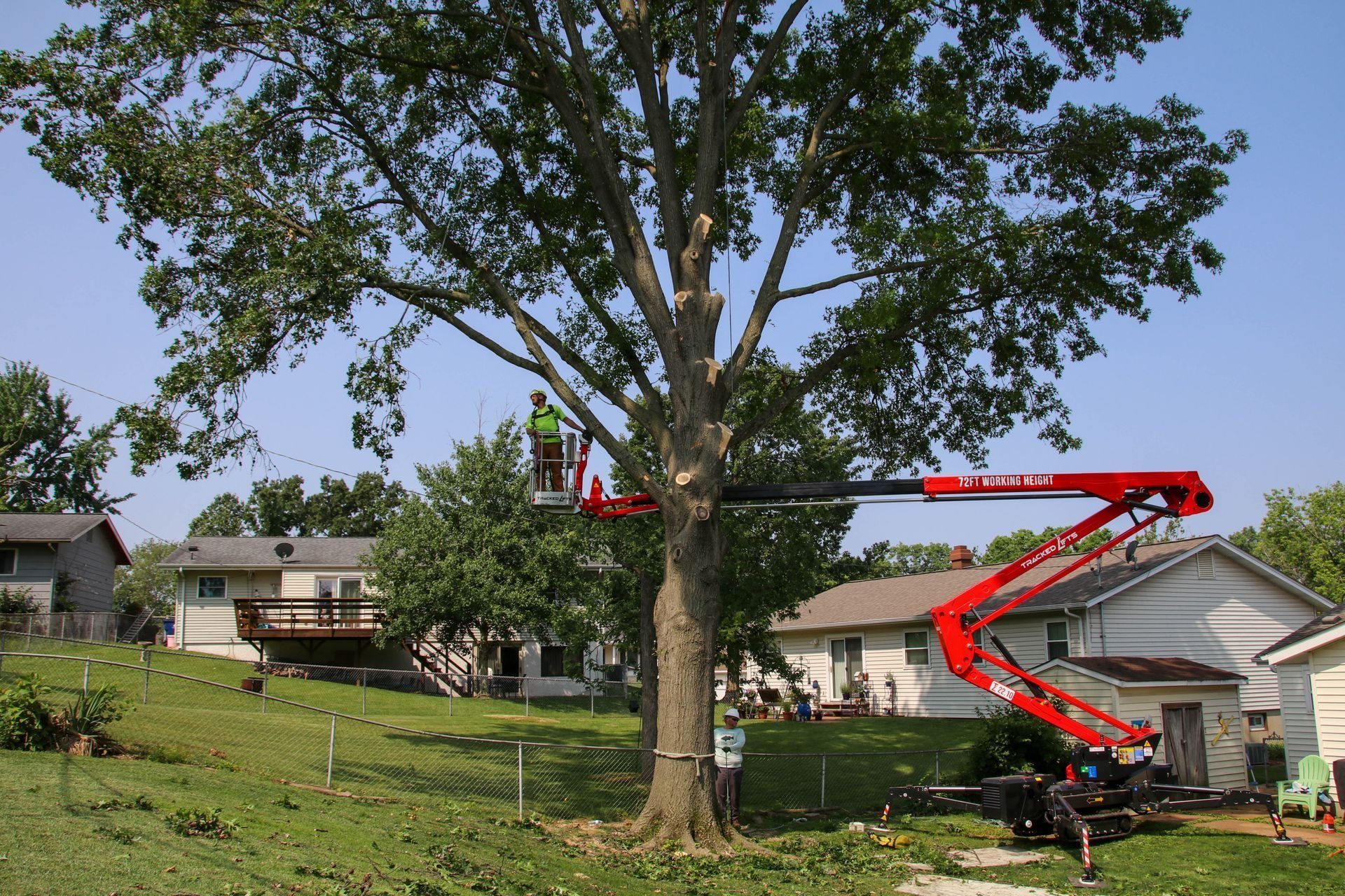 Tree trimming with an aerial lift next to houses on a sunny day.