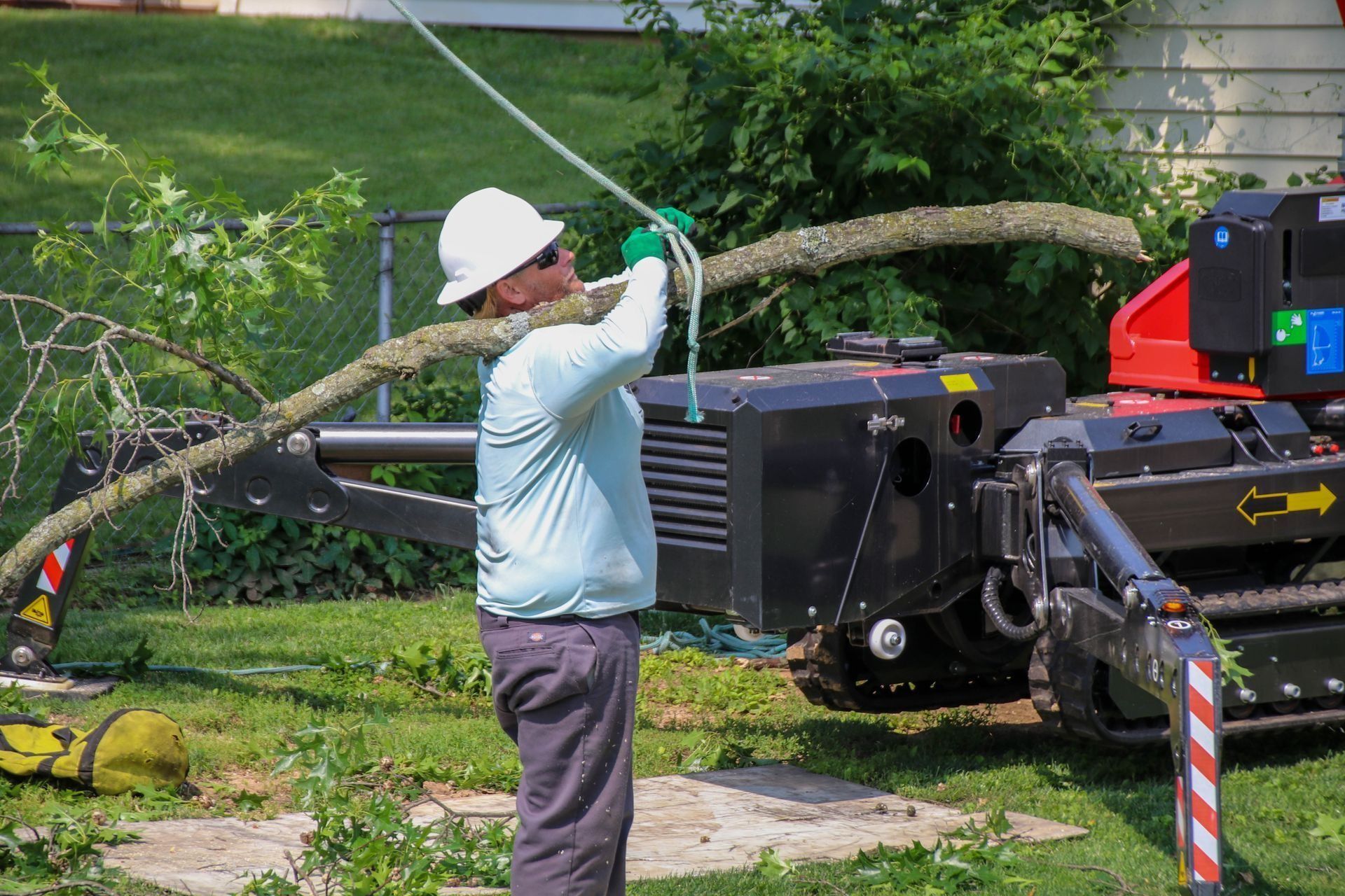 Person operating a tracked tree-removal machine outdoors, guiding a large tree branch.