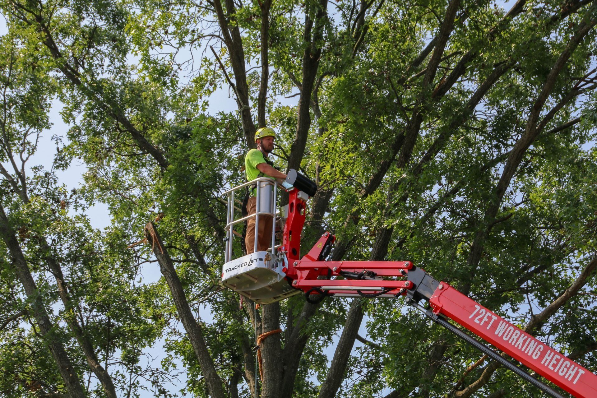 Tree worker in lift trimming tree branches against a blue sky.