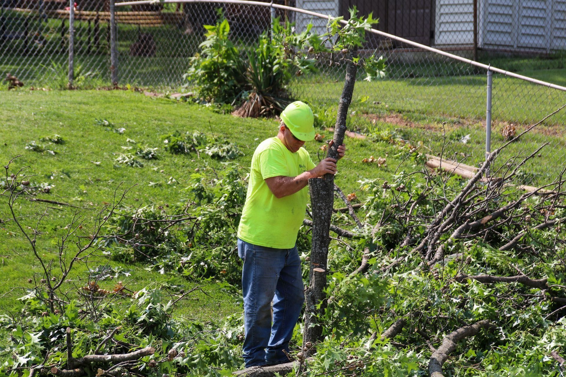 Man in neon shirt trimming tree branches near a fence.