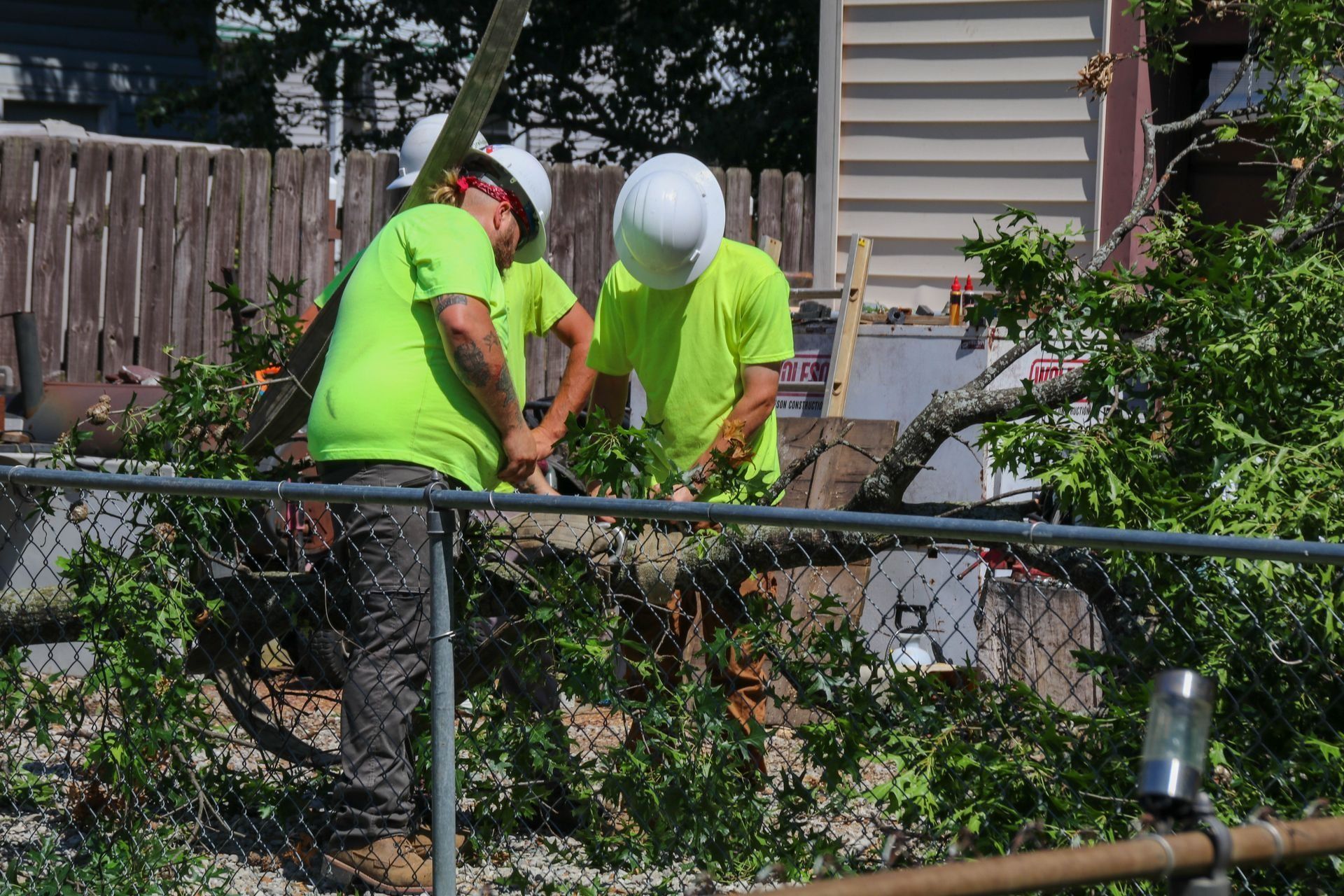 Workers in neon green shirts and hard hats trimming tree branches near a fence.