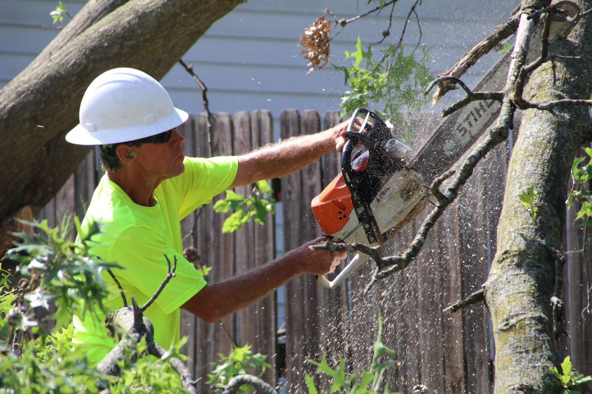 Man in hard hat and safety shirt using a chainsaw to cut tree branches near a wooden fence.