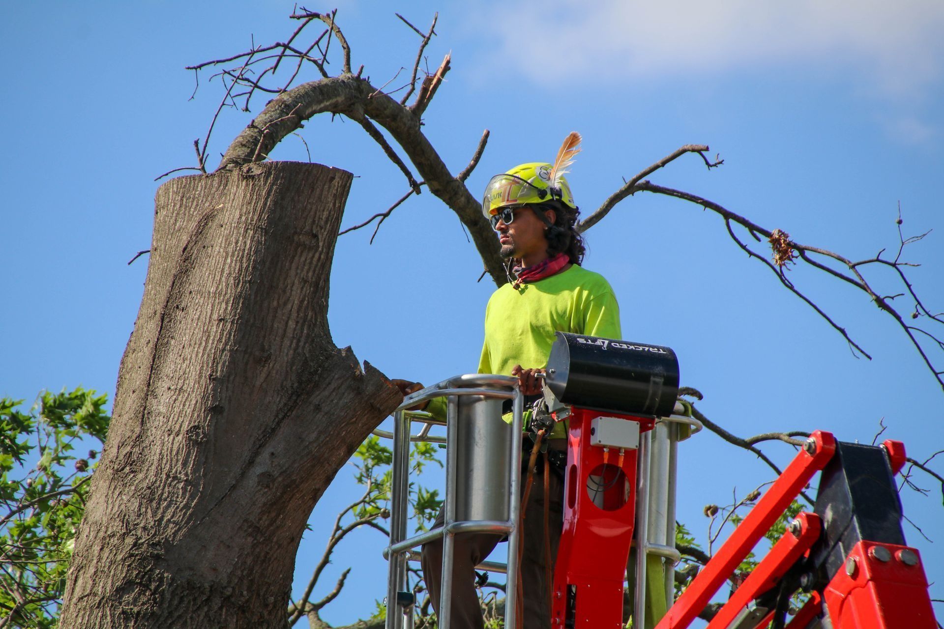 Arborist in a lift trims a tree, wearing a safety vest and eye protection, against a blue sky.