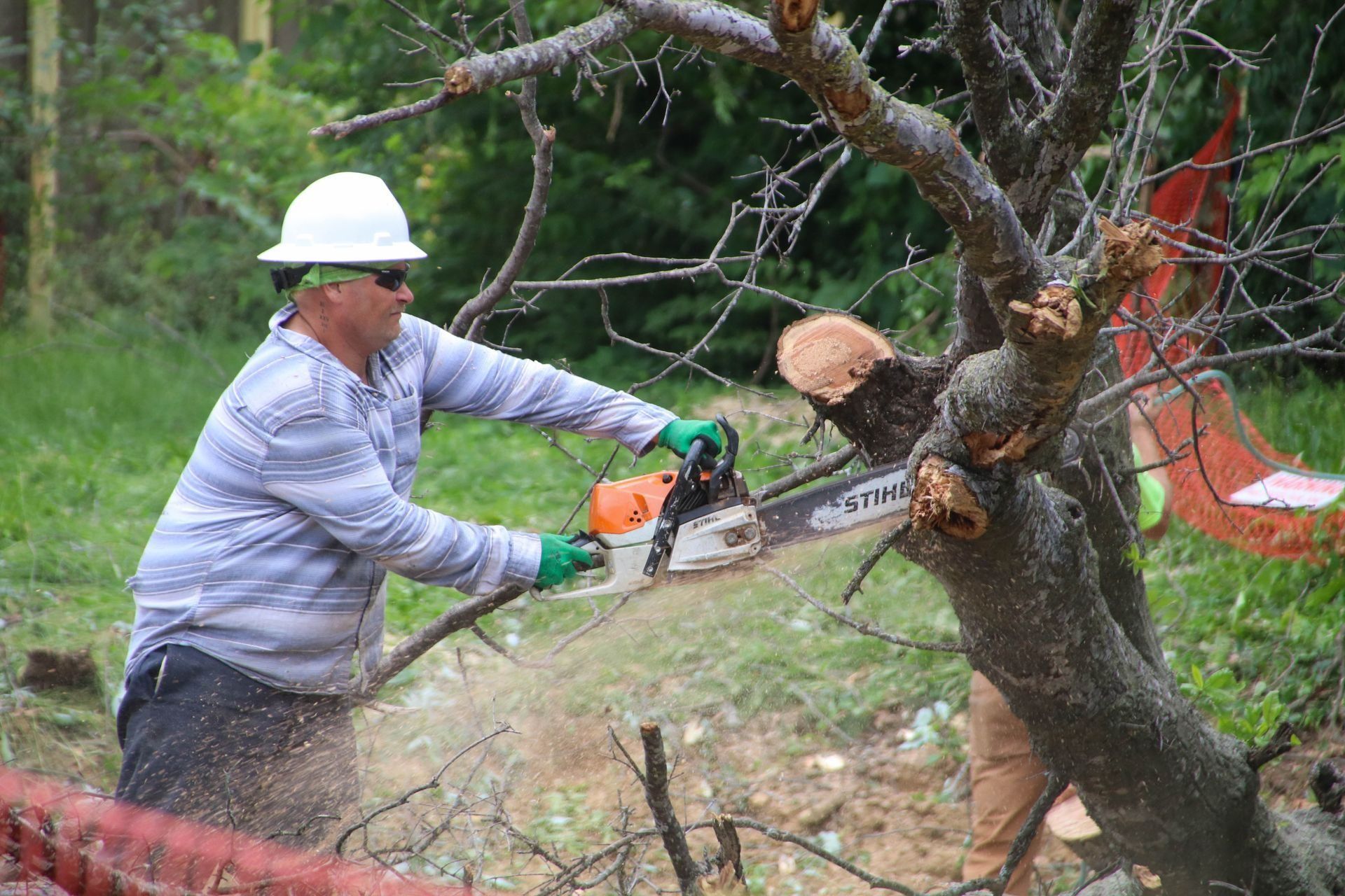 Man in a hard hat and safety glasses using a chainsaw to cut a tree trunk.