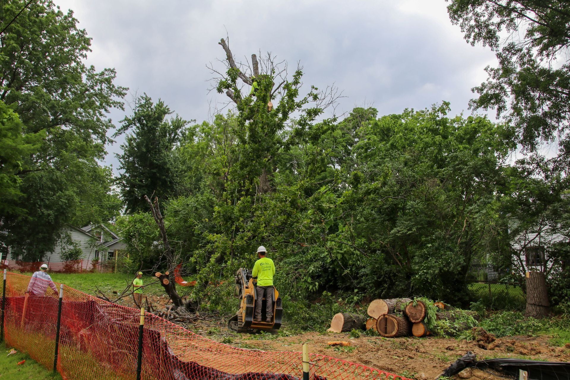 Workers in safety vests use machinery to remove a tree behind a safety fence.