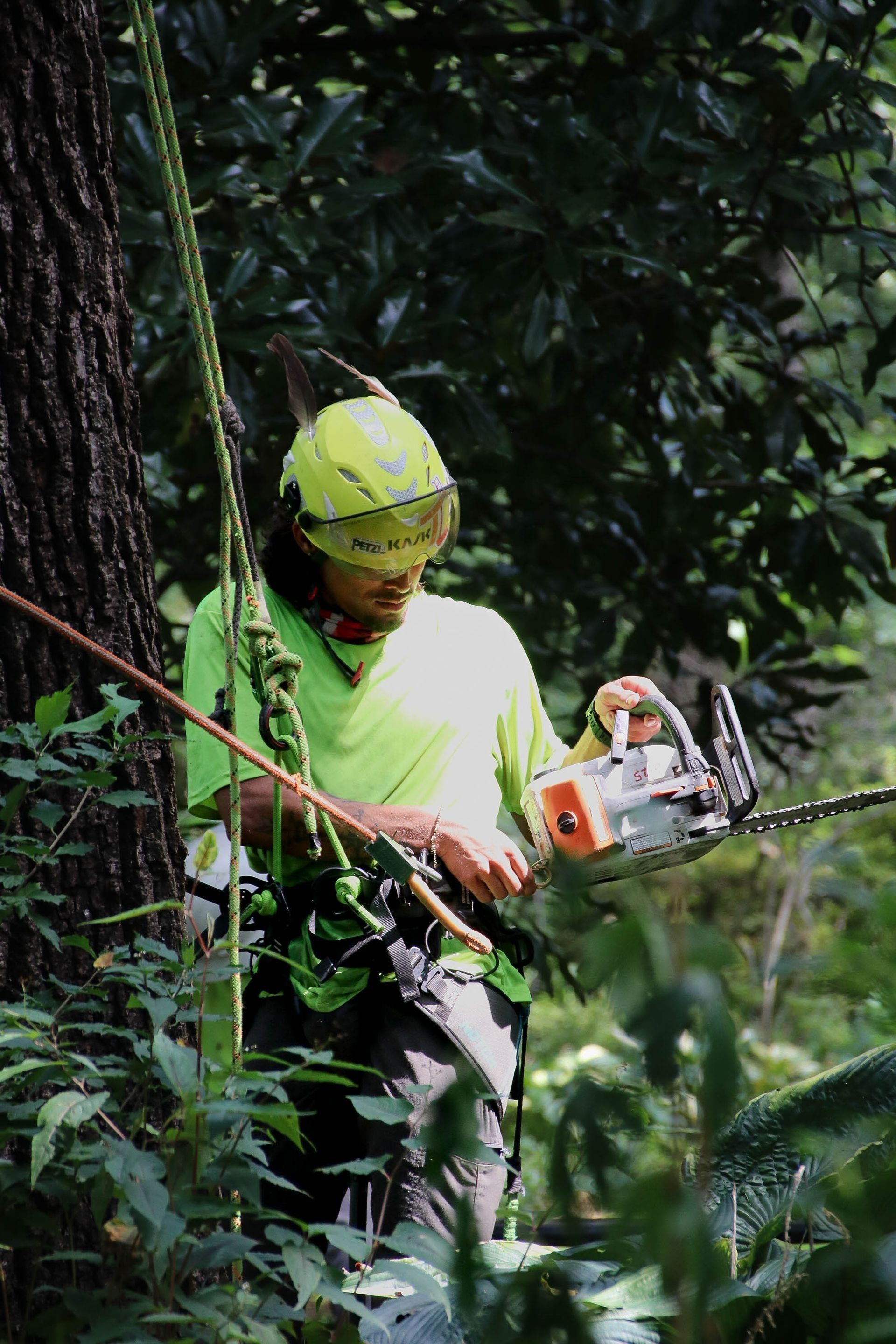 Arborist in a tree, wearing a helmet and harness, holding a chainsaw.
