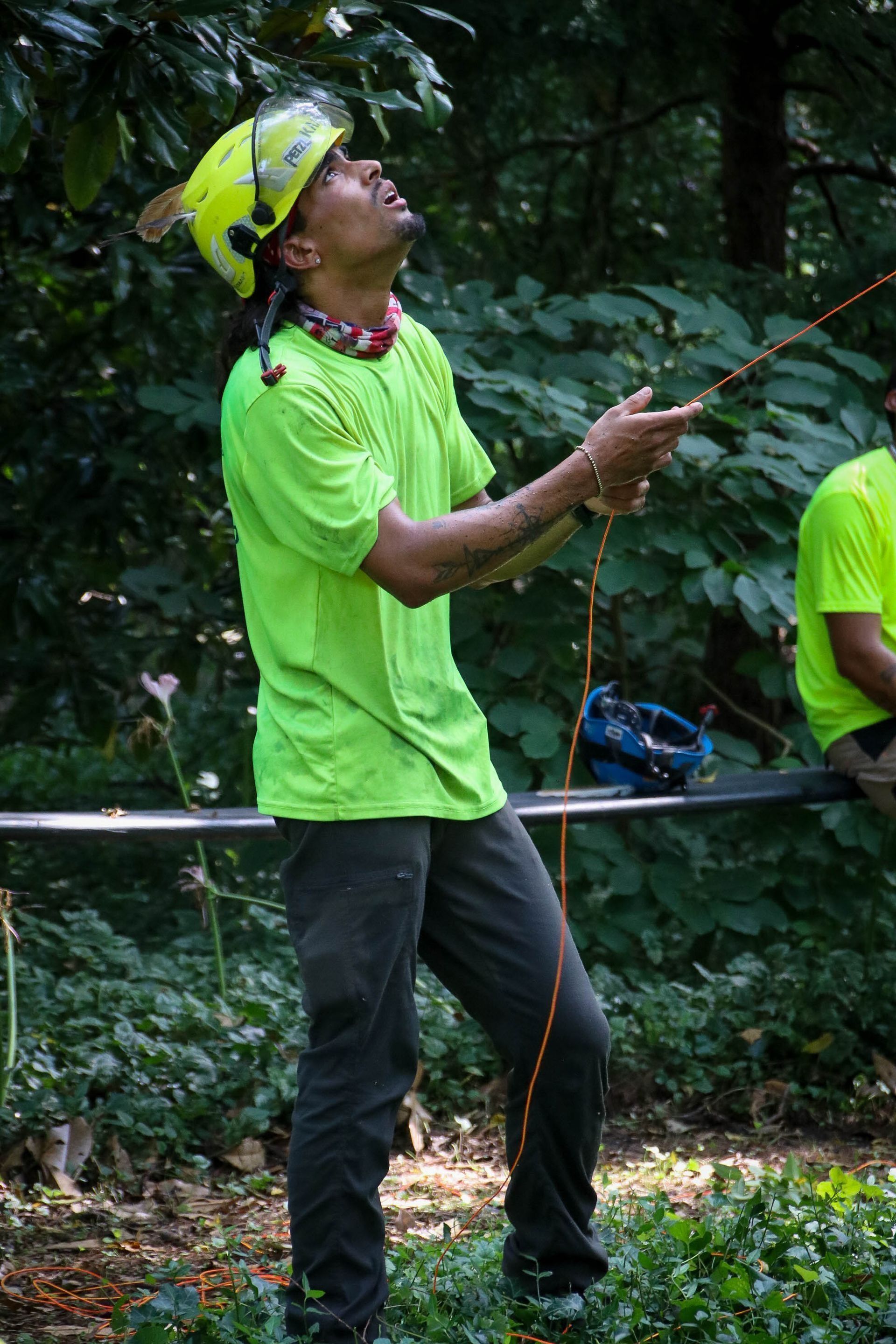Person in neon green shirt and hard hat looks up, holding rope in a wooded area.