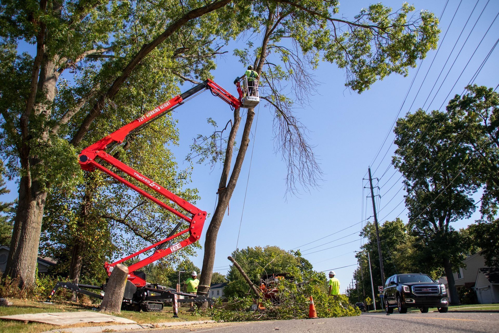 Tree trimming: cherry picker lifts worker to prune branches over a street.