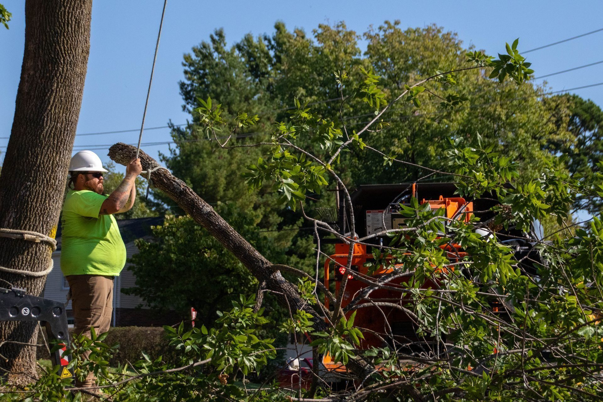 Arborist in hard hat feeds tree branch into wood chipper outdoors on a sunny day.
