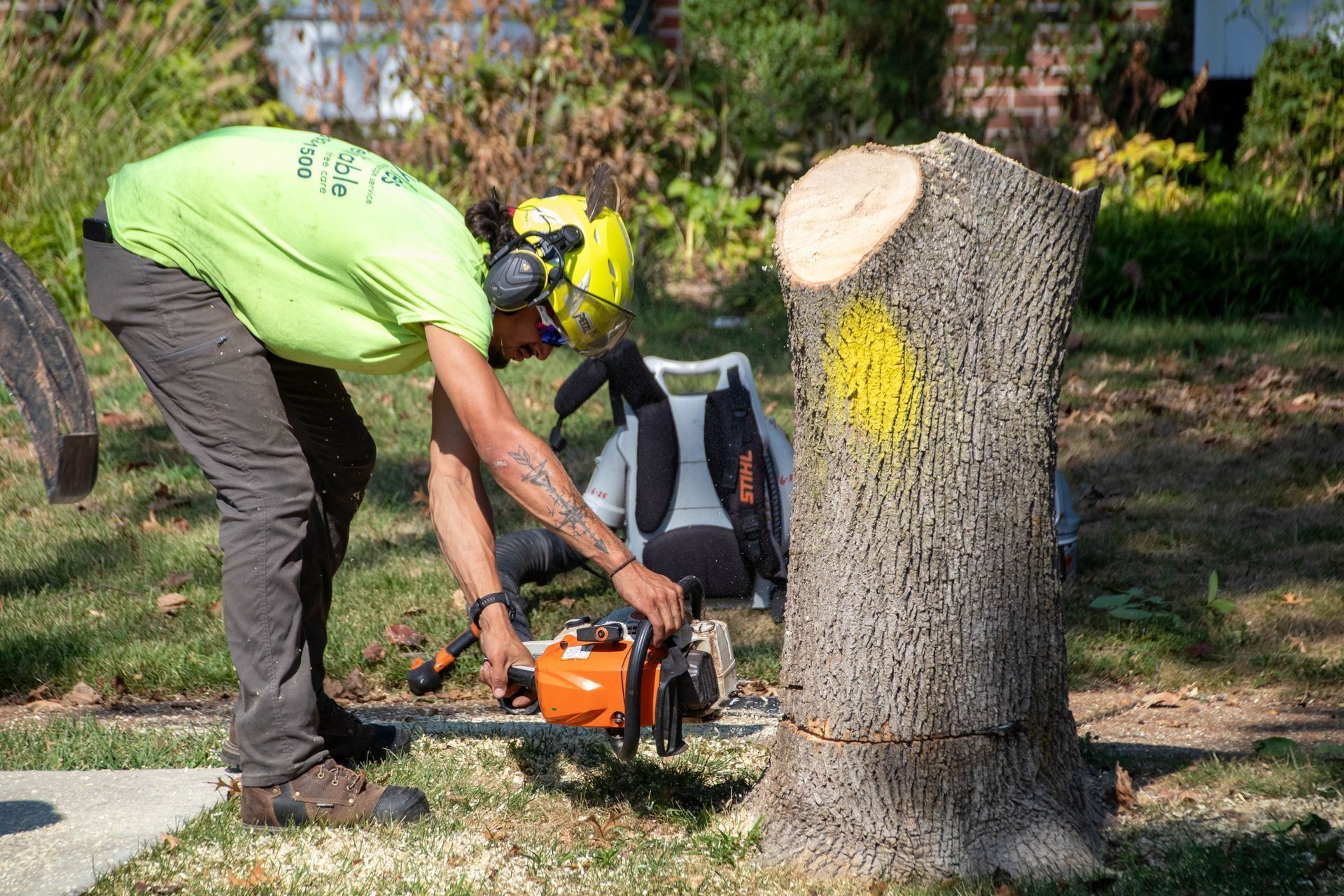 Arborist using a chainsaw on a tree stump, wearing safety gear in a yard.