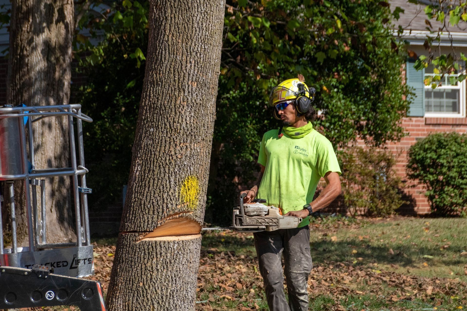 Tree service worker cutting a tree with a chainsaw, wearing safety gear.