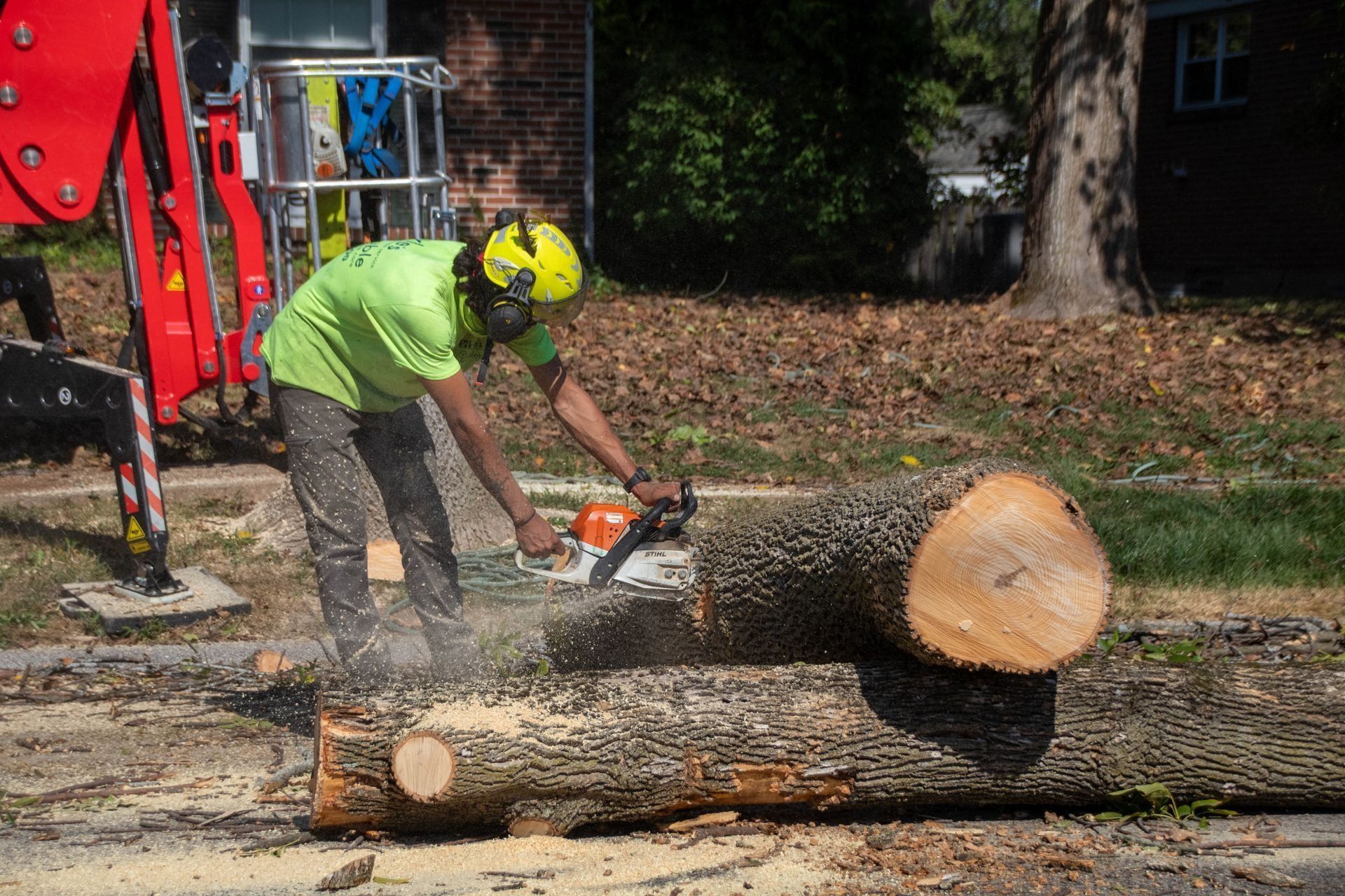 Arborist in neon green shirt uses chainsaw on a fallen log on a street.