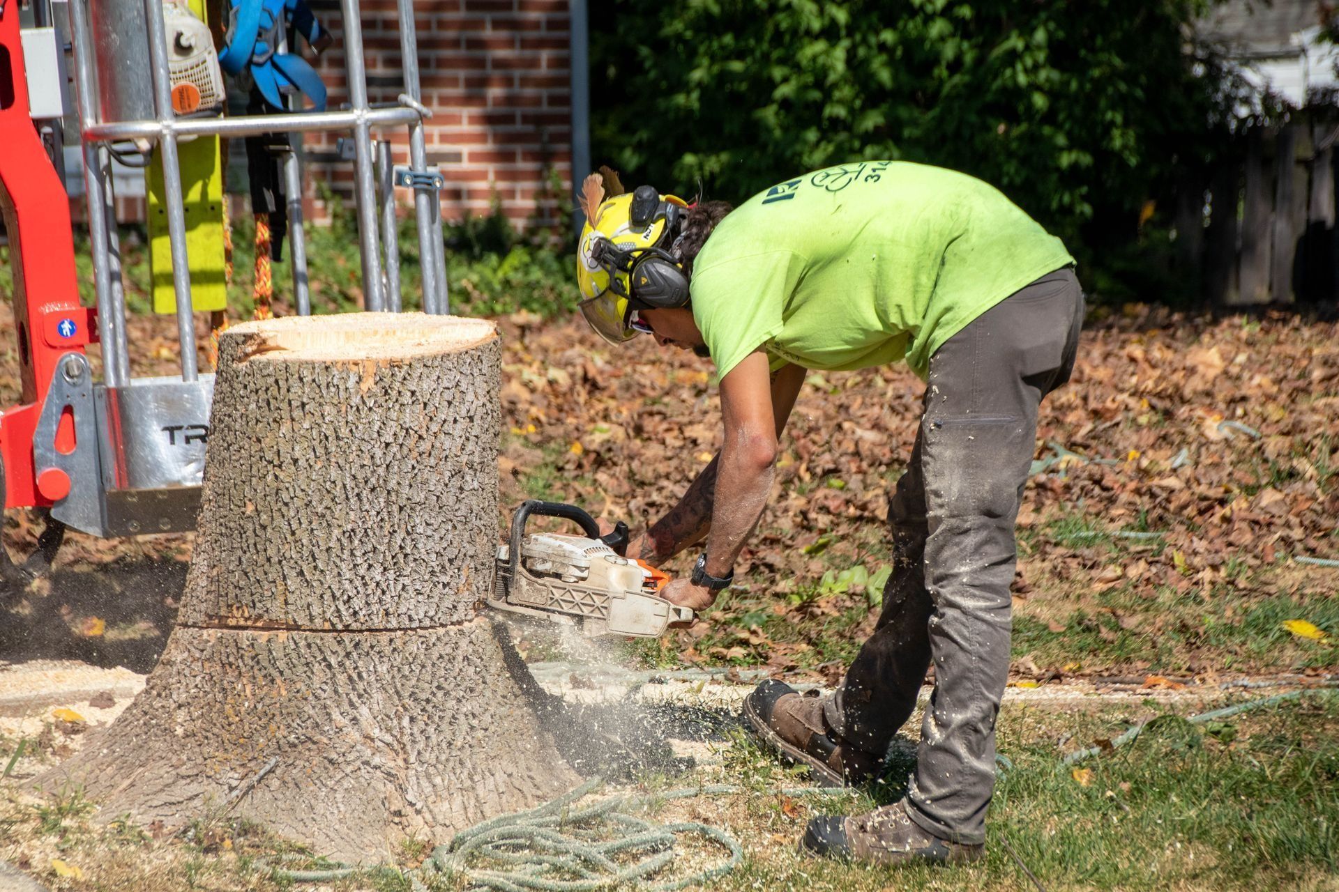 Arborist cutting a tree stump with a chainsaw, wearing safety gear in a yard.