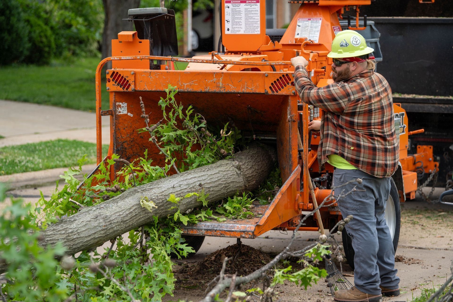 Man feeding a large tree trunk into an orange wood chipper on a city street.
