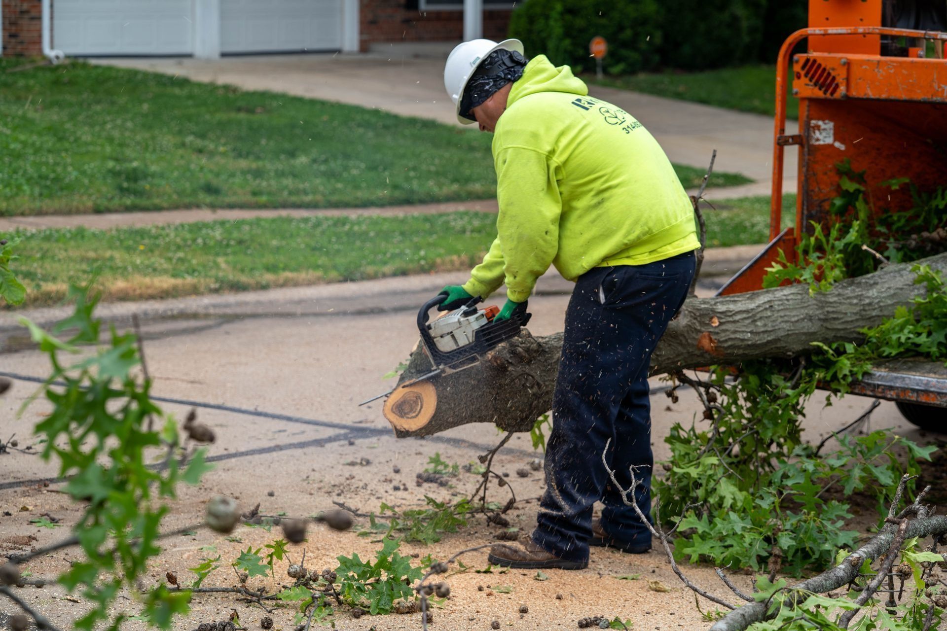 Arborist in neon yellow jacket uses a chainsaw to cut a tree trunk on a street, chipping debris nearby.