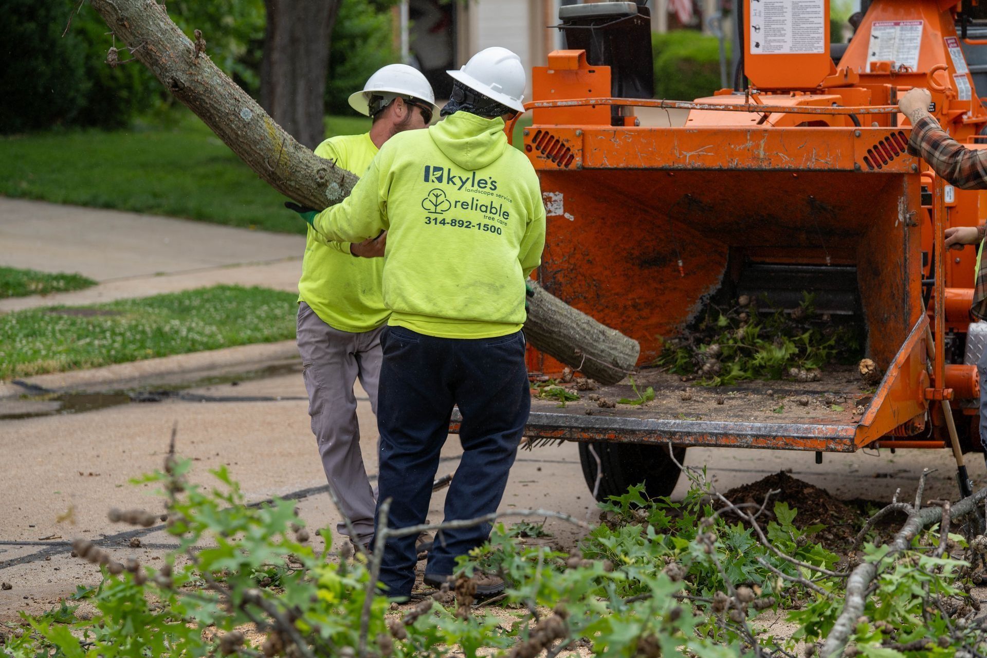 Two workers feeding a tree branch into a wood chipper on a street. One worker wears a yellow hoodie.