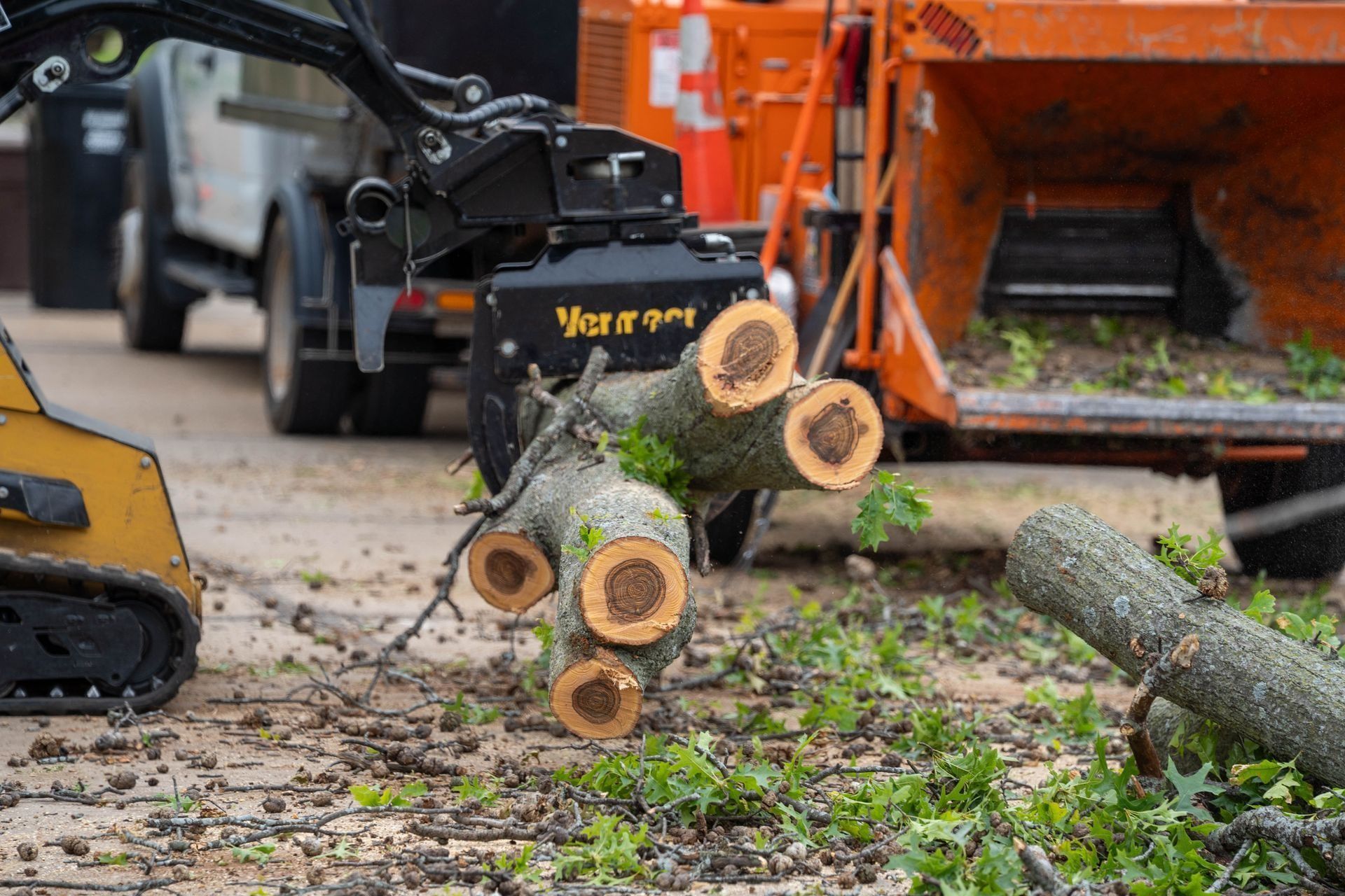 Skid steer arm holding cut tree limbs, feeding wood chipper in an urban area.