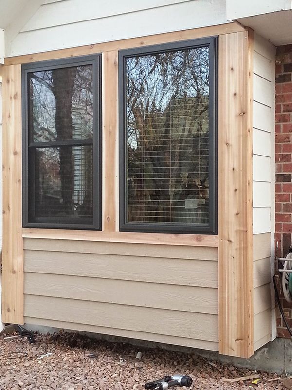 Two windows with black frames on a tan siding base, surrounded by cedar trim on a building.