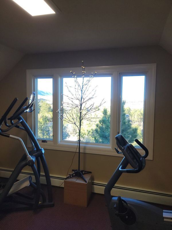 Exercise room with elliptical machines, a window, and a decorative tree.