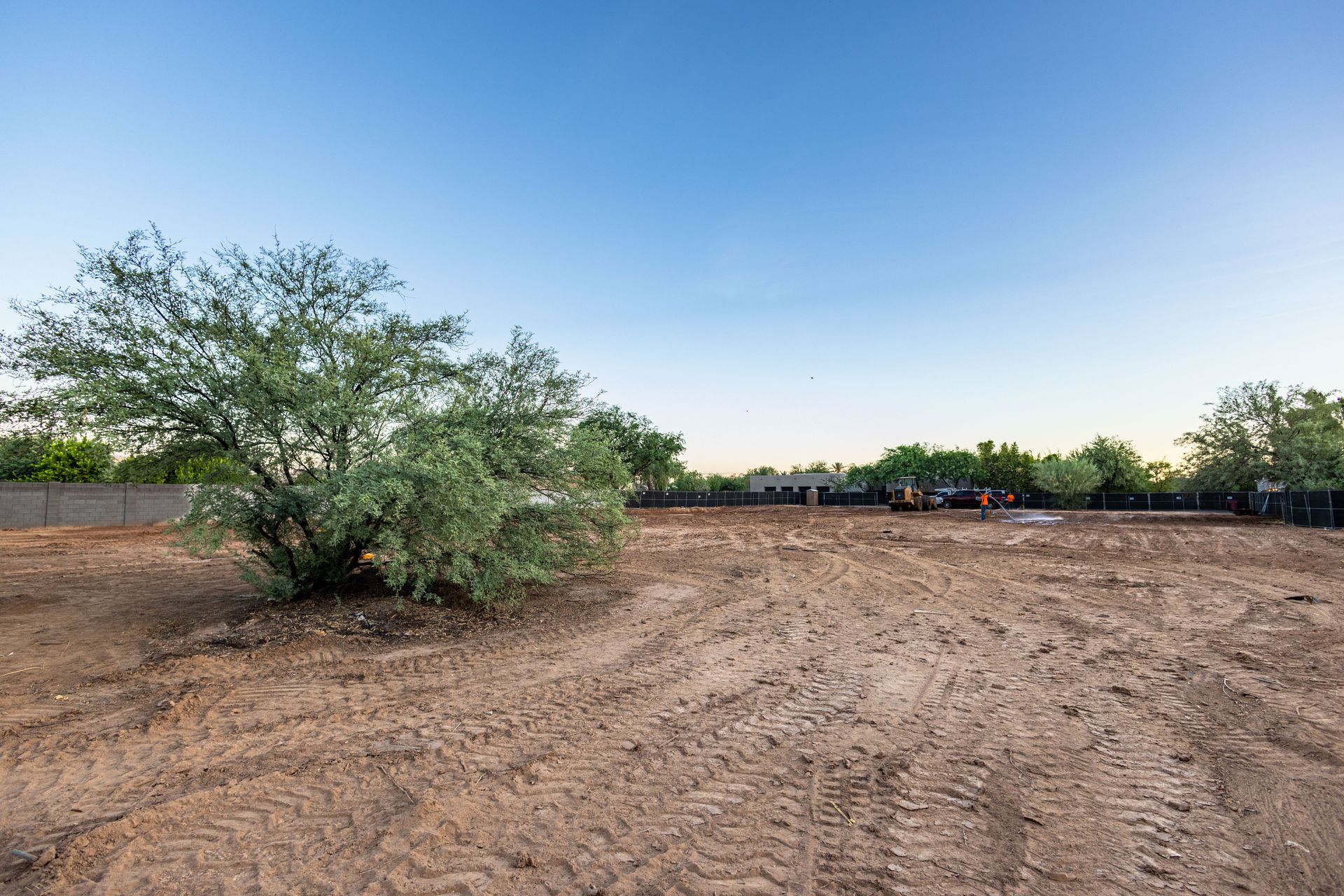 Cleared dirt lot at dusk with a lone tree on the left and a blue sky overhead