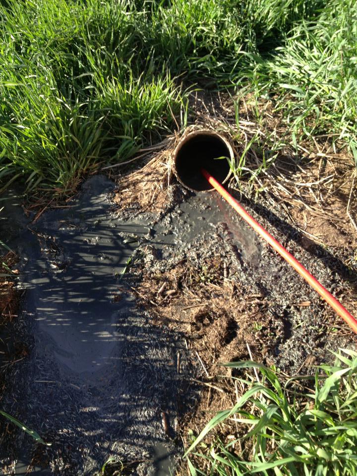 Drain services