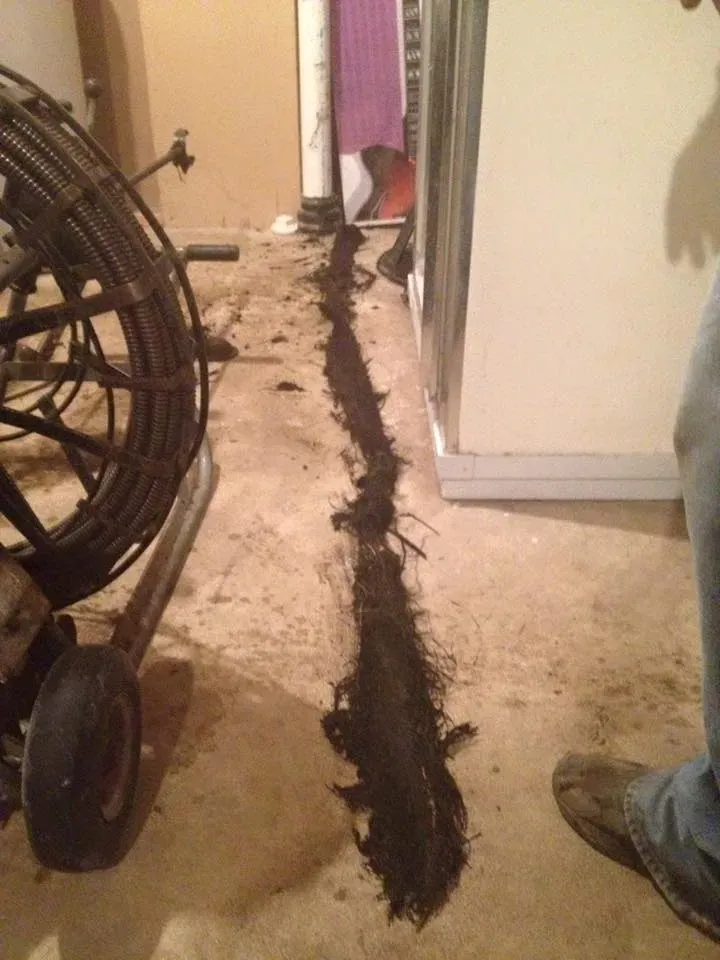 Drain services