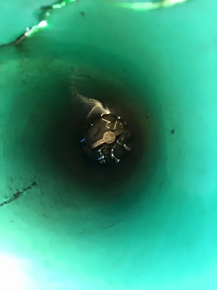 Drain services