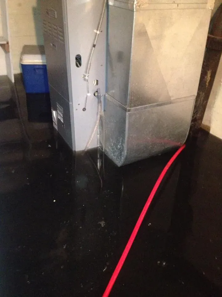 Drain services