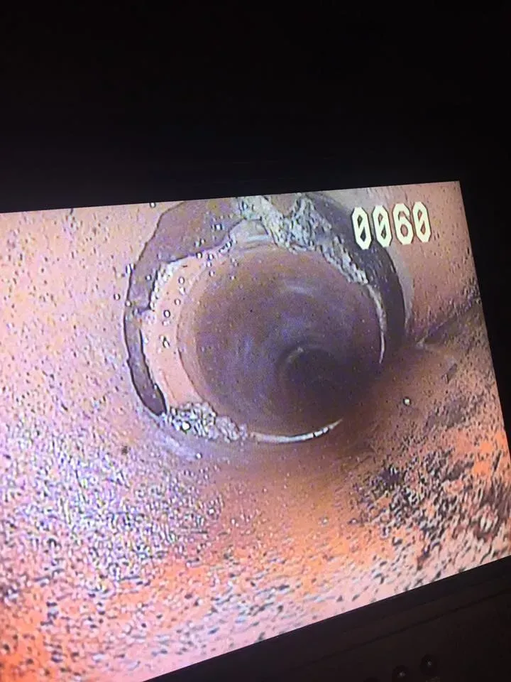 Drain services