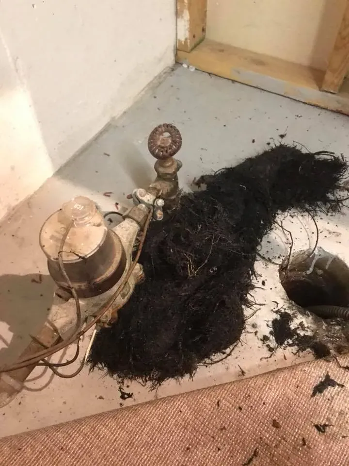 Drain services
