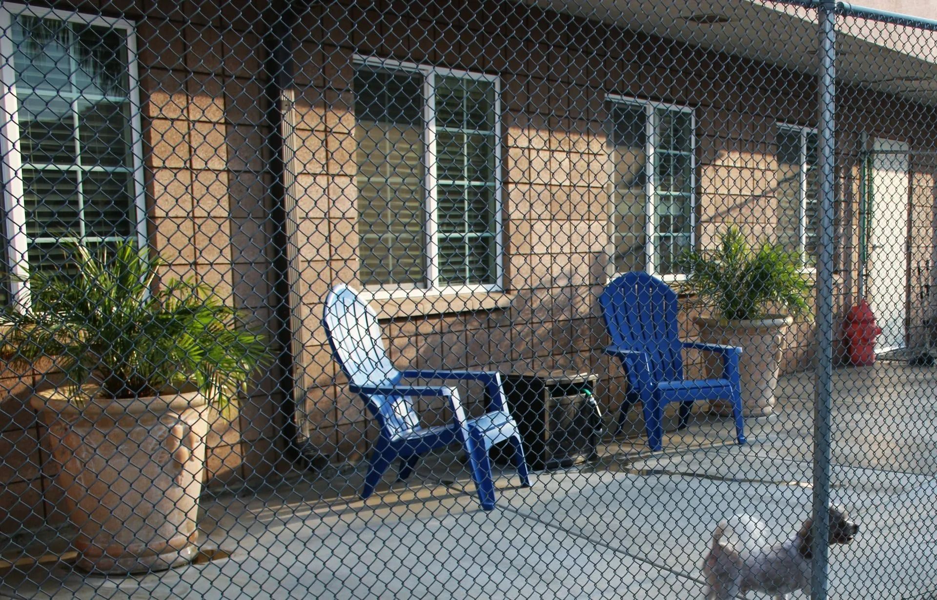 Patio with blue chairs, potted plants, and a mesh screen in front of a brick building