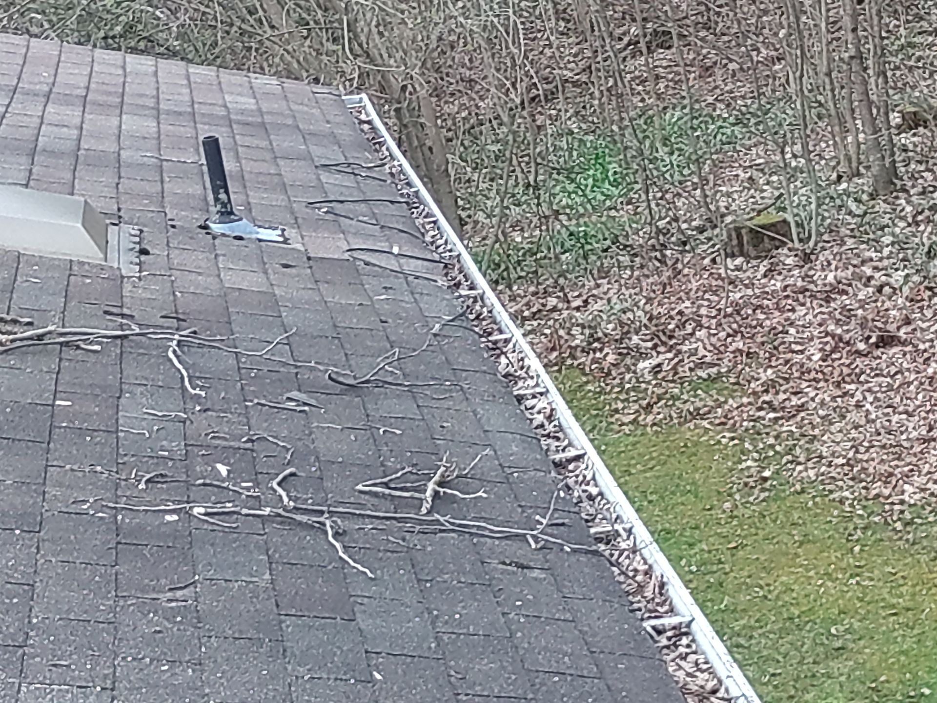 Roof with debris, filled gutter. In a forest setting.