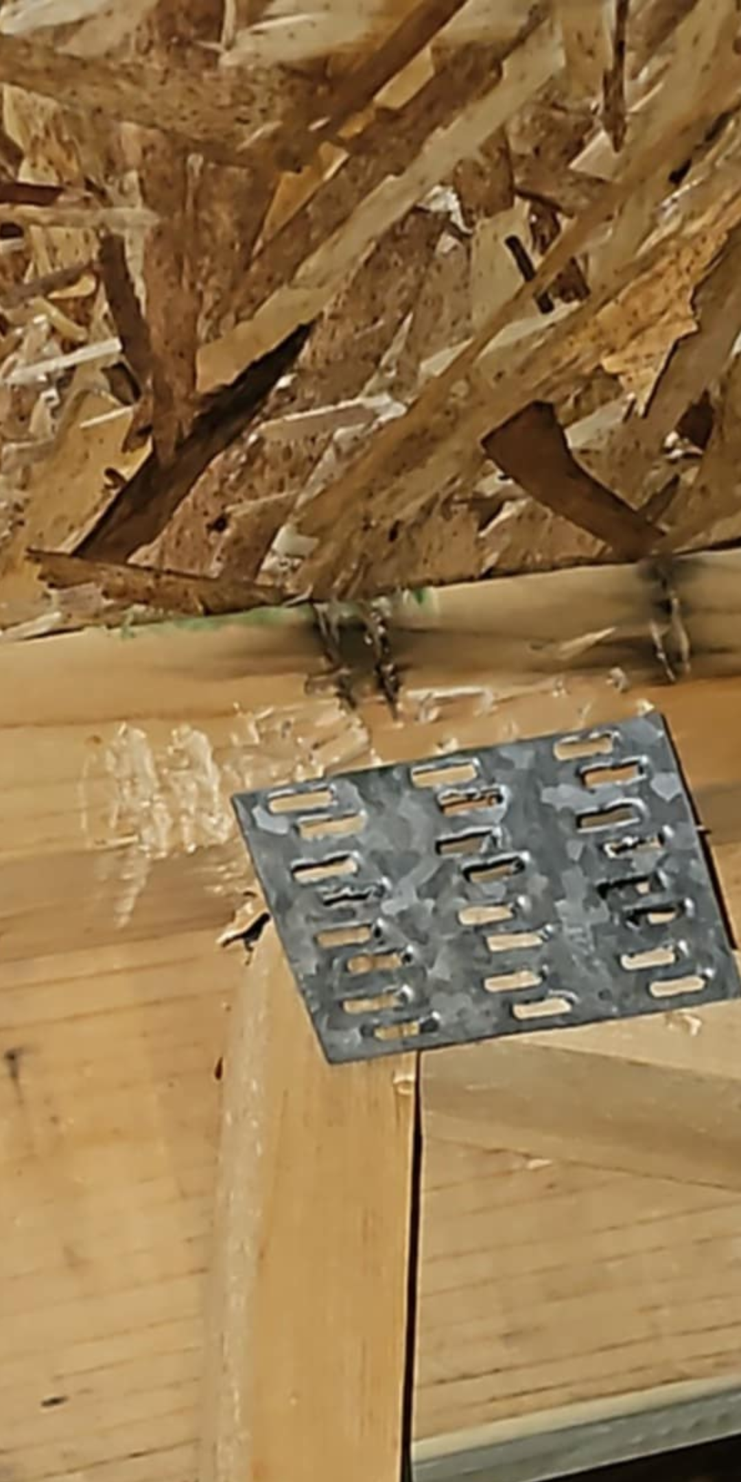 Wood framing with metal plate fastener.