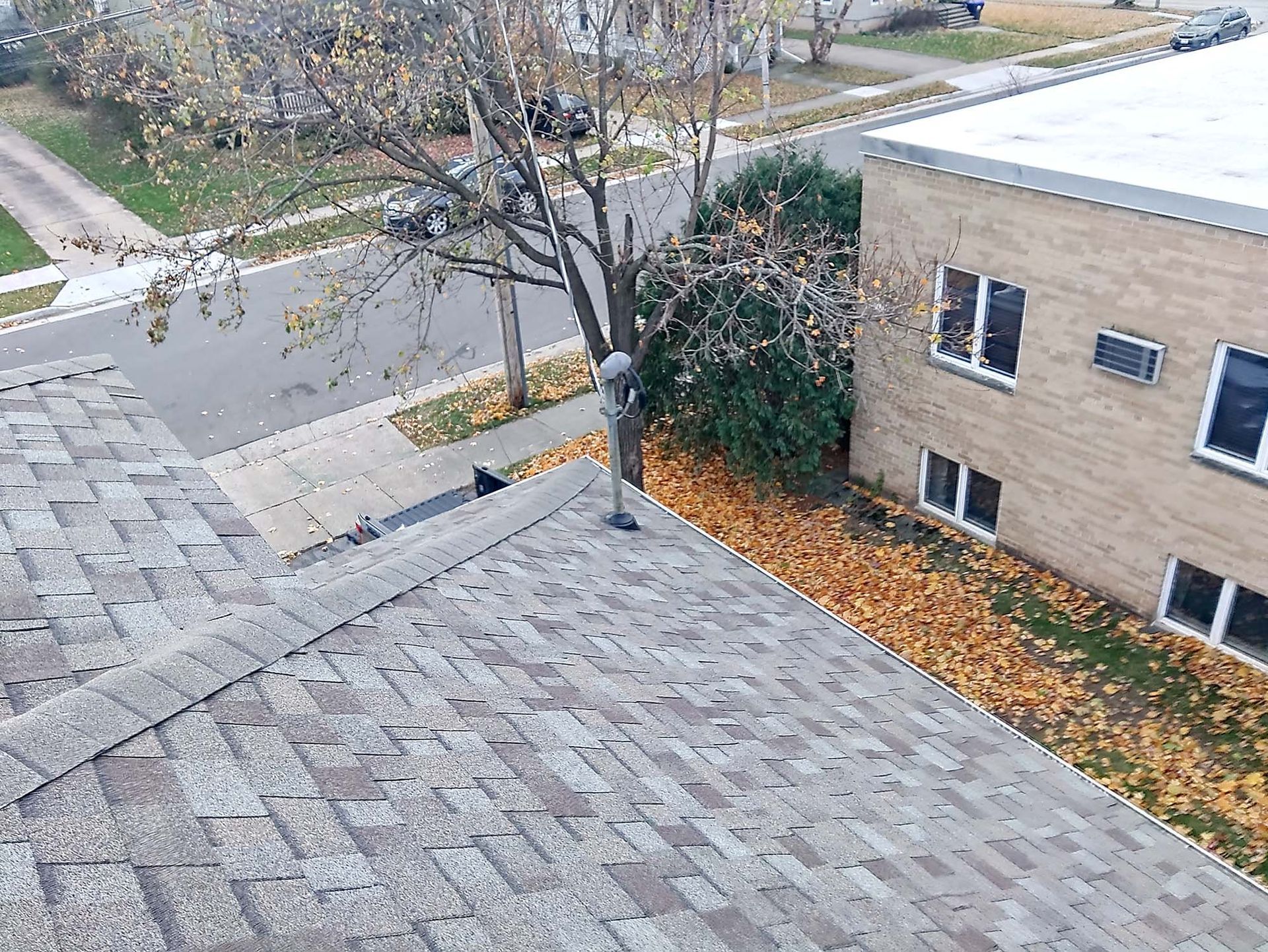Rooftop view of gray shingles, street, trees, and tan building. Fallen leaves on ground.