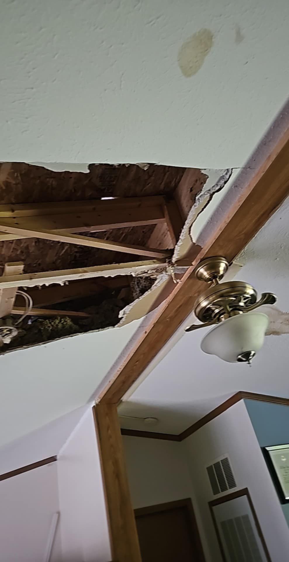 Damaged ceiling with exposed wooden beams, a ceiling fan, and surrounding white walls.