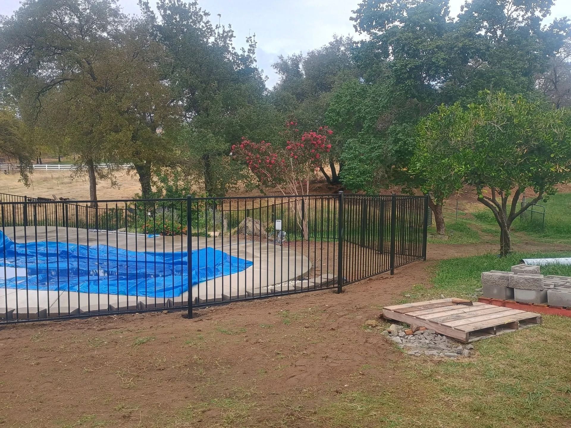Black fence surrounds a pool covered with a blue tarp. Trees in the background. Brown grass.