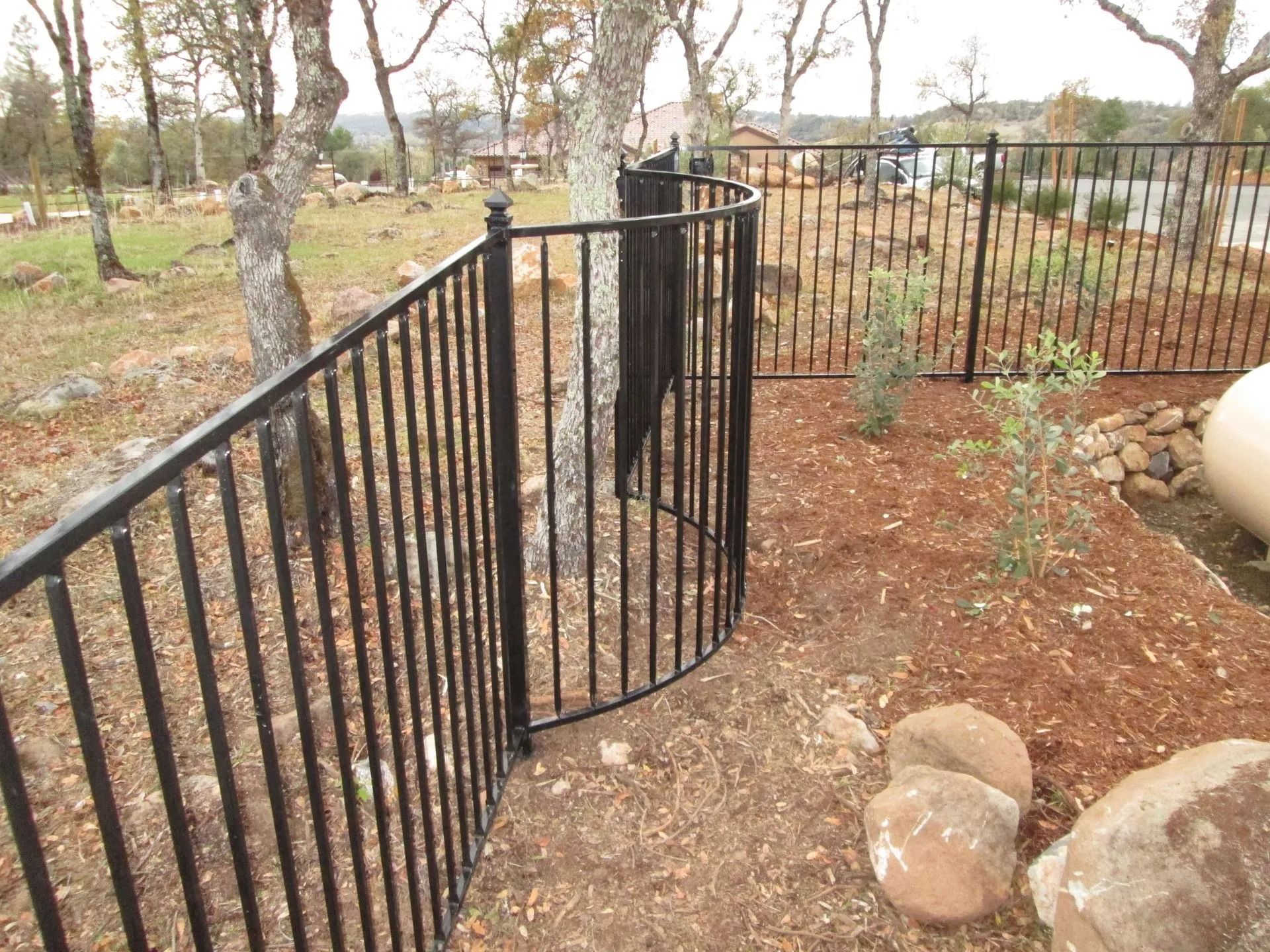 Black metal fence curving around a tree, in a yard with trees and mulch.