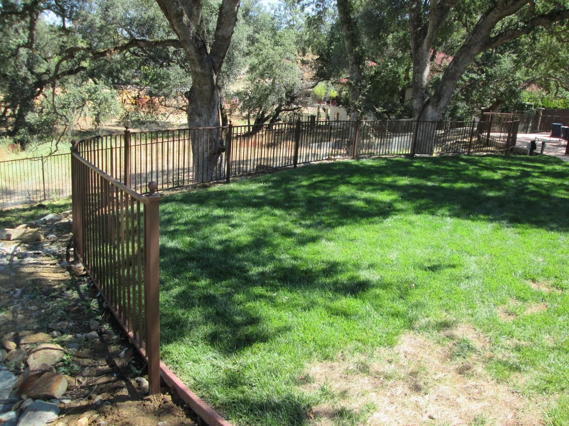 A grassy backyard with a brown metal fence and trees.