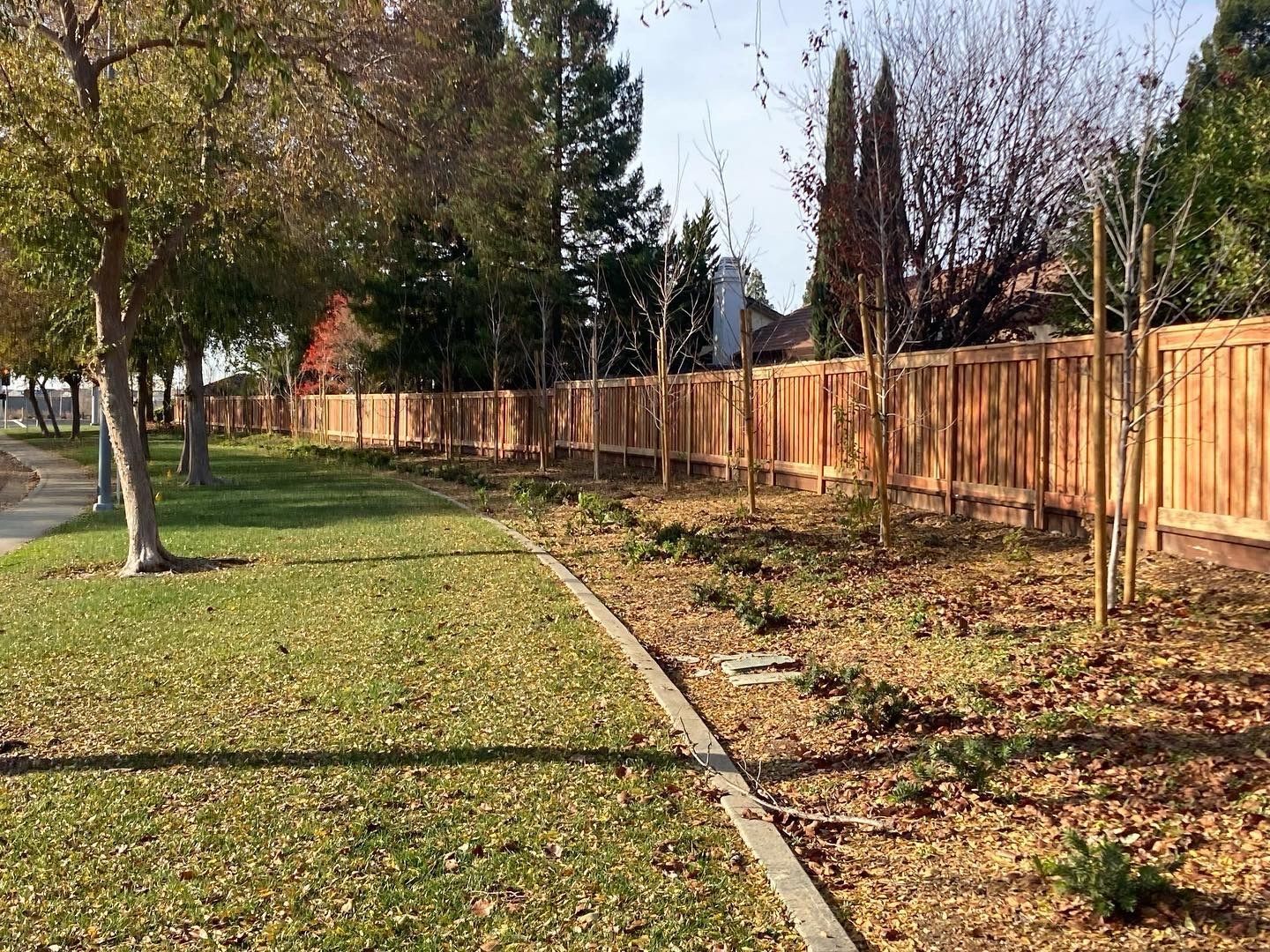 A wooden fence lines a grassy area with trees and small plants.
