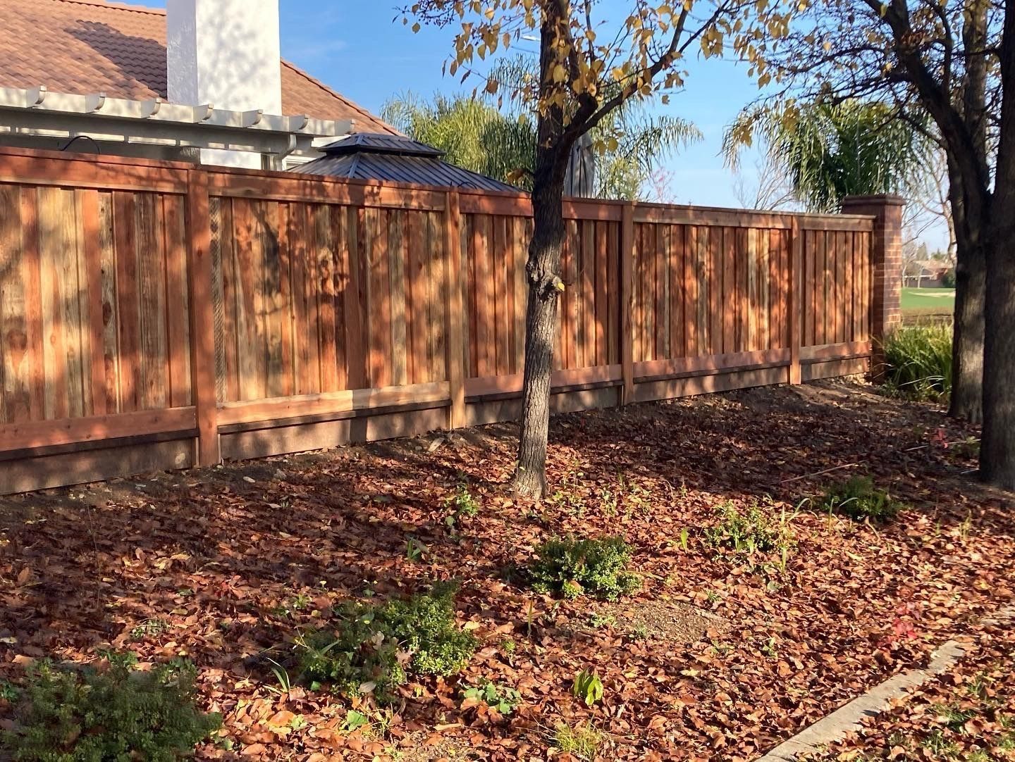 Wooden fence in a yard with fallen leaves and trees, sunny day.