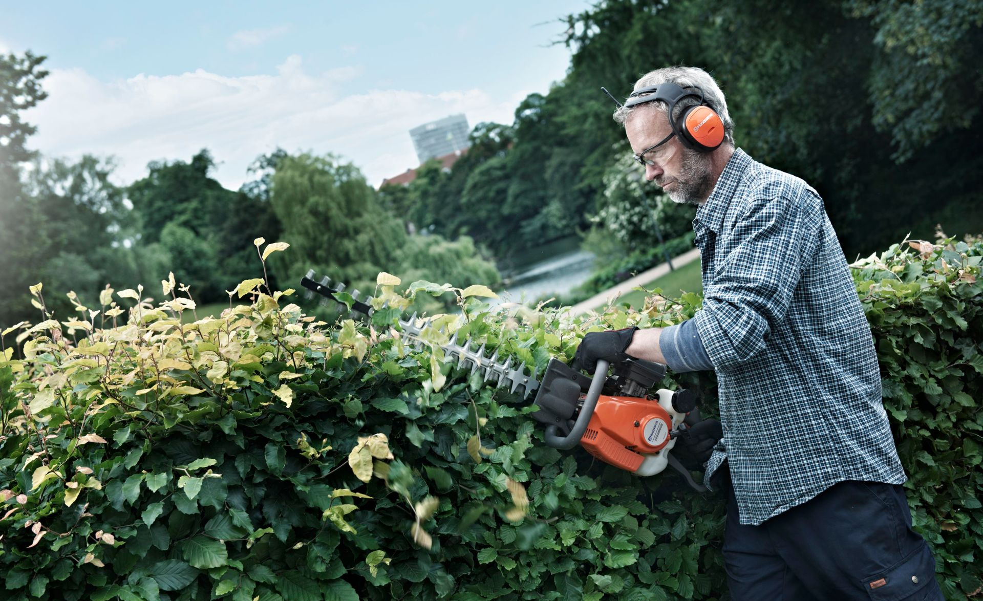 A person wearing protective ear muffs trims a lush green hedge with a handheld, orange power hedge trimmer.