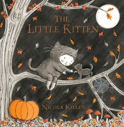 Book cover for
