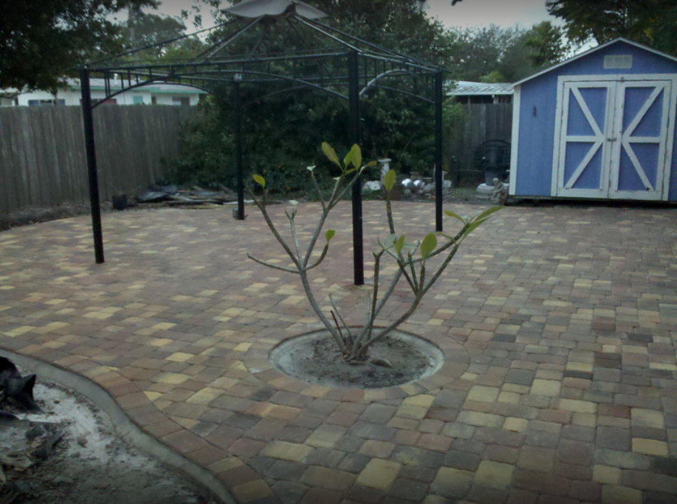 Brick patio with a young tree, black metal pergola, and blue shed.