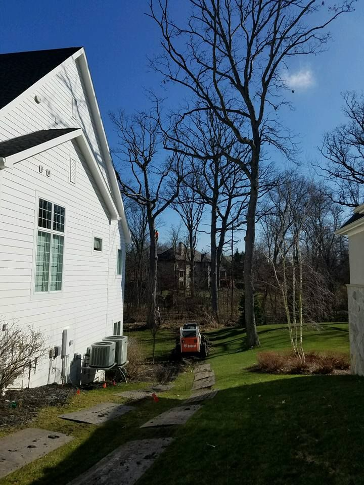 Sidonian Tree Service gallery 5